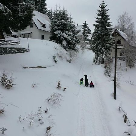 Vila Leni Kopaonik Eksteriør billede