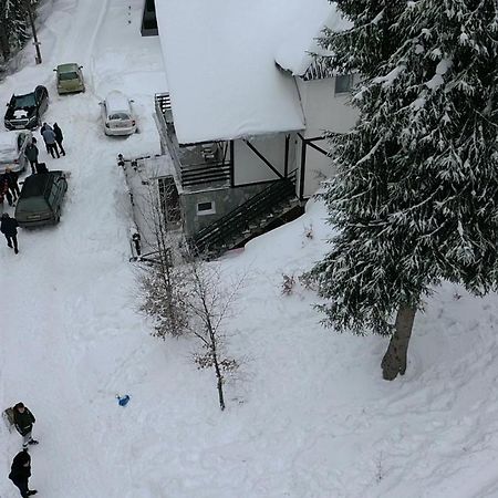 Vila Leni Kopaonik Eksteriør billede