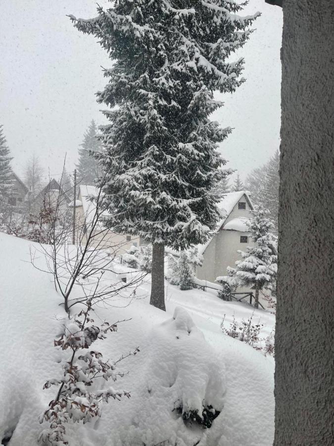 Vila Leni Kopaonik Eksteriør billede