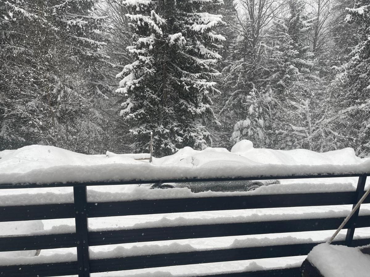 Vila Leni Kopaonik Eksteriør billede